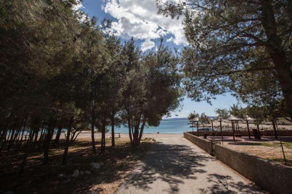 Apartman Franc S Vir Extérieur photo
